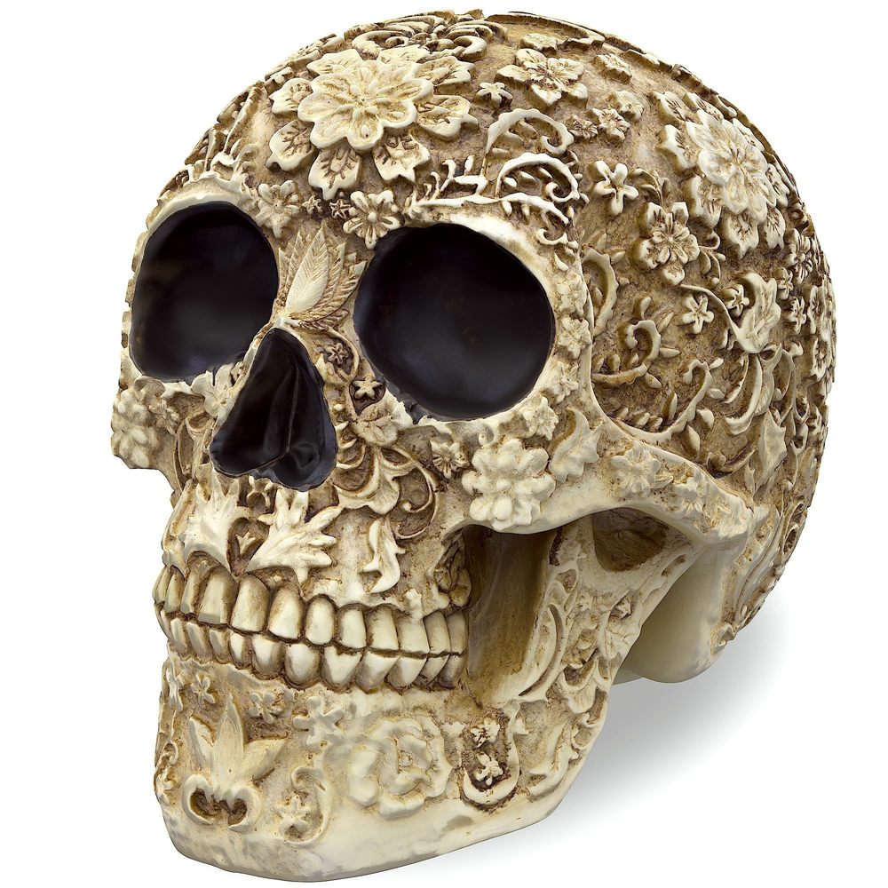 Life Size Skull Resin Floral Human Skull Model Adult Head Bone Model Day Of🐥